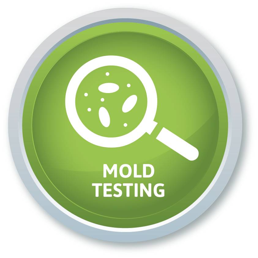 Mold Testing