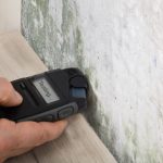 Home Mold Test